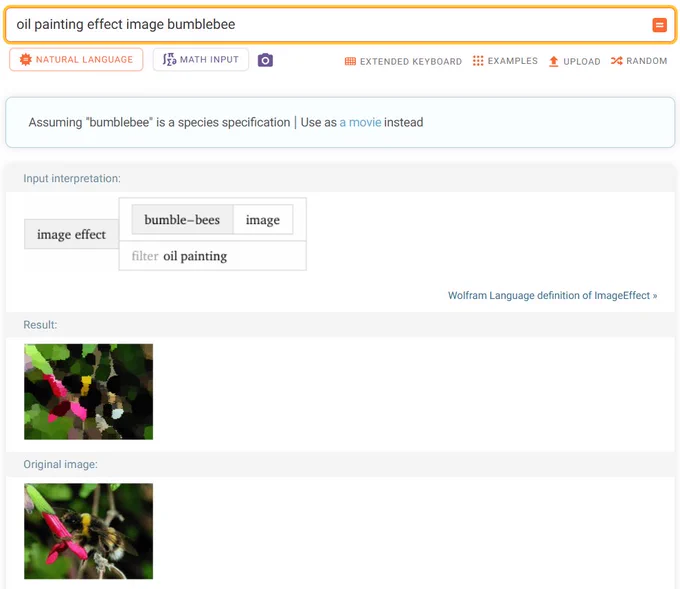 Wolfram|Alpha result for input "oil painting effect image bumblebee."