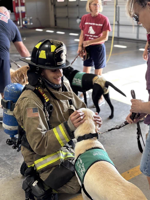 A firefighter in protective gear interacts with a dog