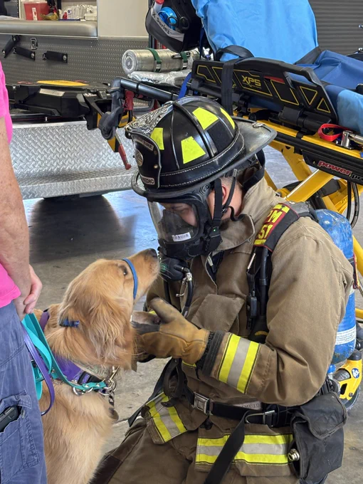 A firefighter in protective gear pets a dog