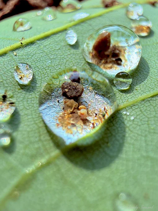 Sand in droplets