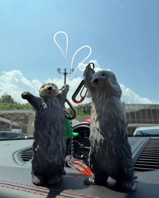 晴れは嬉しいけど暑いね🥵、、、と、ちびメイキラ🦦🦦