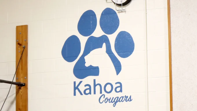 There is an image of the Kahoa Elementary School logo on the wall of the PE gym. The image of a cougar inside a cougar paw with the words Kahoa Cougars below it.
