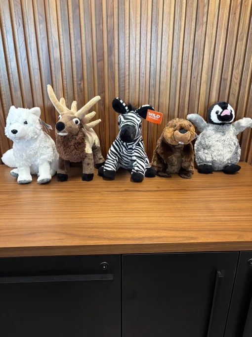 Five plush animal toys including a white fox, an elk, a baby zebra, a beaver, and a penguin lined up on a wooden surface.