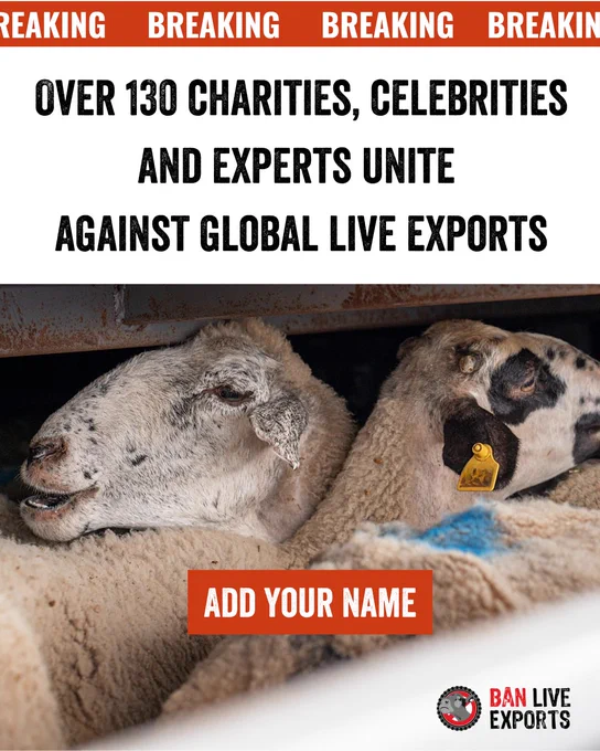 Over 130 charities, celebrities and experts unite 
against global live exports. Add your name. 