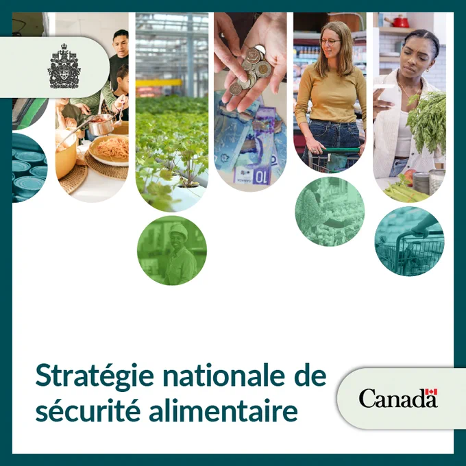 Famille en train de dîner, cultures en serre, monnaie canadienne, et consommateurs à l’épicerie. Texte : Stratégie nationale de sécurité alimentaire.