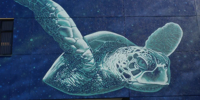 A large mural of a sea turtle is painted on a blue wall. The artwork depicts the turtle swimming gracefully, with intricate details on its shell and flippers, all set against a starry ocean-themed background.