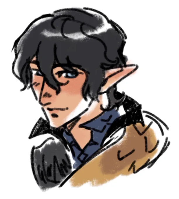 lord aymeric de borel