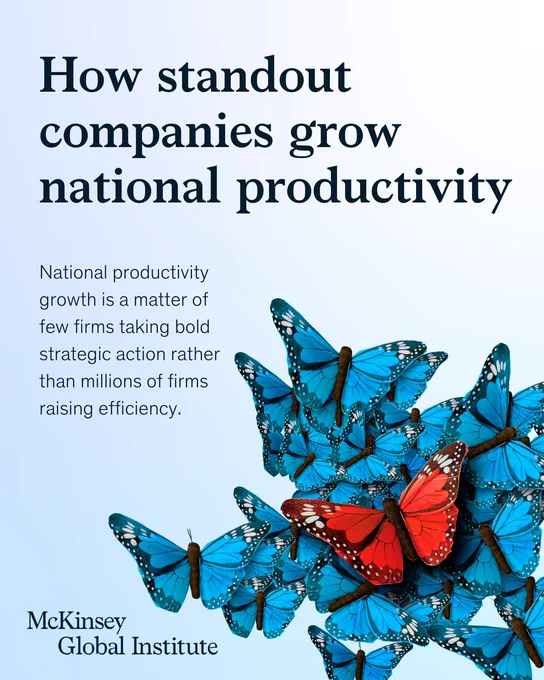 A graphic showing a single red butterfly among numerous blue butterflies, illustrating the concept that national productivity growth is driven by a few bold companies rather than widespread efficiency improvements. The McKinsey Global Institute logo is present.