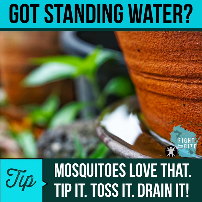 Got standing water? Mosquitoes LOVE that. TIP IT. TOSS IT. DRAIN IT! Fight the Bite. Wisconsin Department of Health Services logo.