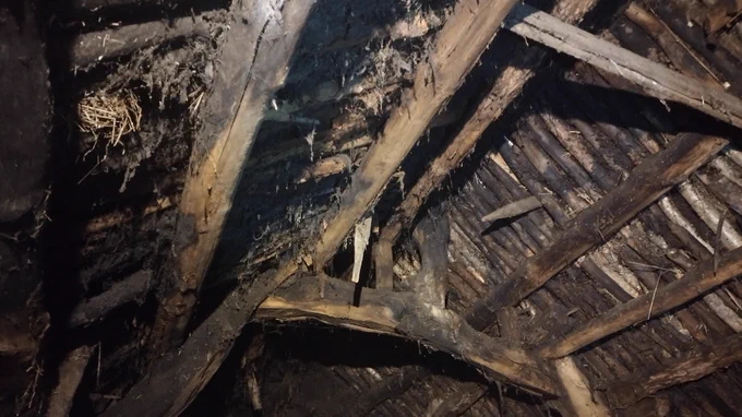 Roof at Moirlanich Longhouse.