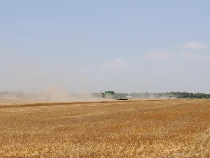 dust from wheat field while combine is harvesting