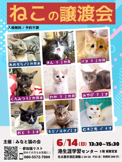 「ねこの譲渡会」の告知チラシ画像。上部に赤背景で大きな黄色い文字で「ねこの譲渡会」、その下に「入場無料／予約不要」とあります。中央には9匹の猫の写真と名前・年齢がグリッド状に並んでいます。左上から順に：あおぞら（オス・2か月半）、きん（メス・2か月）、パヨ（メス・2か月）、くろみつ（メス・2か月半）、わか（メス・2か月）、みやび（メス・2才）、おと（メス・3才）、キジノスケ（オス・2才）、むすこ君（オス・4才）。下部にはイベント詳細。主催：みなと猫の会、参加猫リストのQRコード、電話番号：080-5572-7004。日時：6/14（日）13:30〜15:30。場所：港生涯学習センター 3階 視聴覚室（名古屋市港区港陽1-10-18、P32台・利用料300円）。