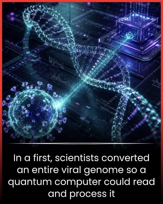 🚨 Scientists Just Taught a Quantum Computer to Read Life
A team of researchers has achieved something incredible—they translated an entire viral genome into a format a quantum computer can understand.
Why does this matter? Quantum computers can process information in ways that traditional computers can't, potentially helping scientists unlock genetic secrets, track mutations, and develop new treatments much faster.
This is the first major step toward combining quantum computing and genetics—two technologies that could transform medicine forever.
The real mystery is: what hidden secrets of life might quantum computers reveal next? 
Source:
University of the Basque Country. Scientists translate a complete viral genome into quantum language. ScienceDaily.