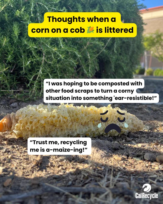 Discarded corn cob on the ground with illustrated sad expression and text promoting composting the corn with other food scraps in your organic waste bin.