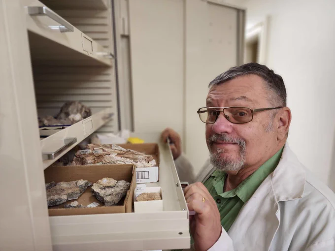 Dr. Bob, in a lab coat, is examining fossils in the AZMNH lab.