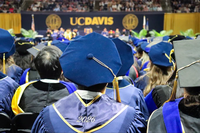 Doctoral graduate seated and viewed from behind wearing a stole that reads "2026" on the back.