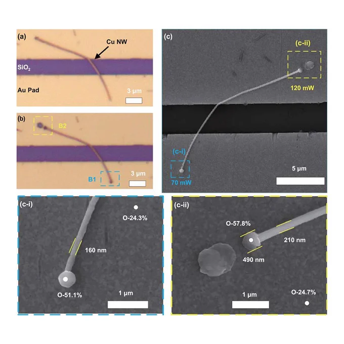 Laser-induced thermo-compression bonding for Cu–Au heterogeneous nanojoining
