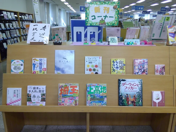 山武市成東図書館　新刊コーナーの写真