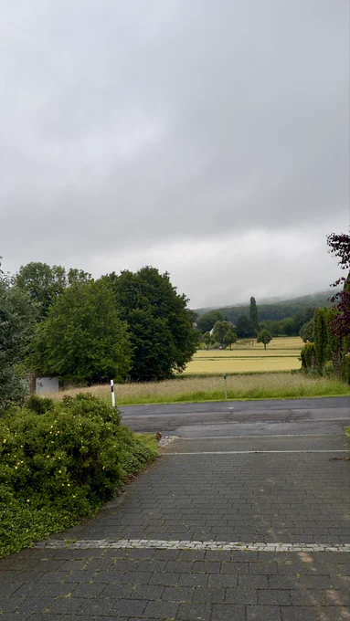 Ausblick gegen 7:00 Uhr