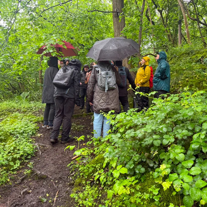 A group of people stand on a muddy path in a lush, green forest. Some hold umbrellas to shield themselves from the rain. Tall trees and dense foliage surround them, creating a tranquil, natural setting.