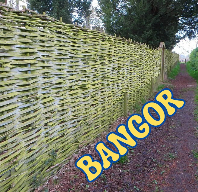 Wal neu ffens wedi'i adeiladu drwy blethu canghennau y naill ochr i ffyn, a'r gair 'bangor' ar draws gwaelod y llun. / A wattle wall or fence with the word 'bangor' across the bottom of the image.