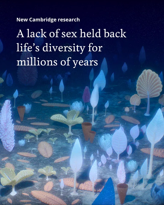 Artist's impression of an Ediacaran community. Text overlay reads: "New Cambridge research: A lack of sex held back life's diversity for millions of years".