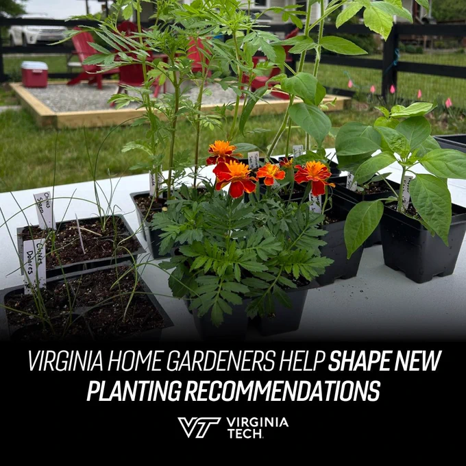 A garden is pictured. Text on screen reads: Virginia home gardeners help shape new planting recommendations