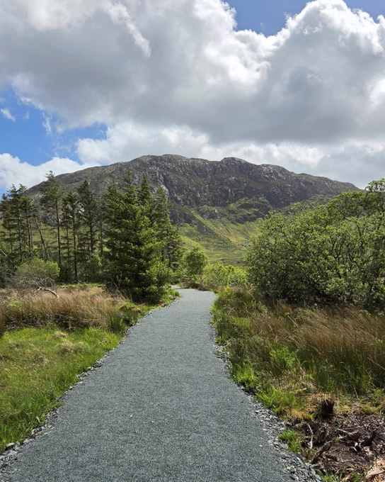 View from Fintown Forest Walk in Donegal.