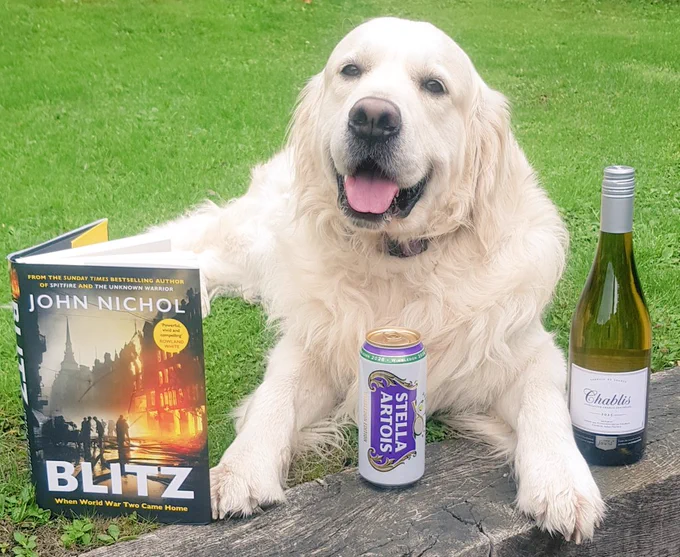 Ralph the golden retriever sitting on the grass with the book, a can of Stella and bottle of Chablis