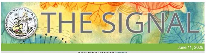 Image of The Signal email banner