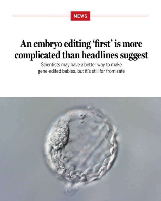 An embryo editing ‘first’ is more complicated than headlines suggest
Scientists may have a better way to make gene-edited babies, but it’s still far from safe