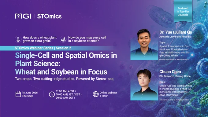Promotional banner for the STOmics webinar "Single-Cell and Spatial Omics in Plant Science: Wheat and Soybean in Focus," featuring speakers Dr. Yue (Julian) Qu and Chuan Chen on Thursday, June 18, 2026, at 11:00 AM AEST.