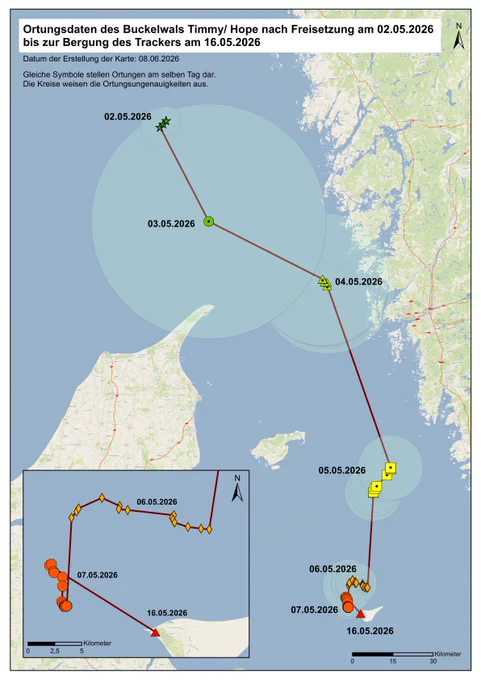 Ortungsdaten des Buckelwals Timmy/ Hope nach Freisetzung am 02.05.2026 bis zur Bergung des Trackers am 16.05.2026