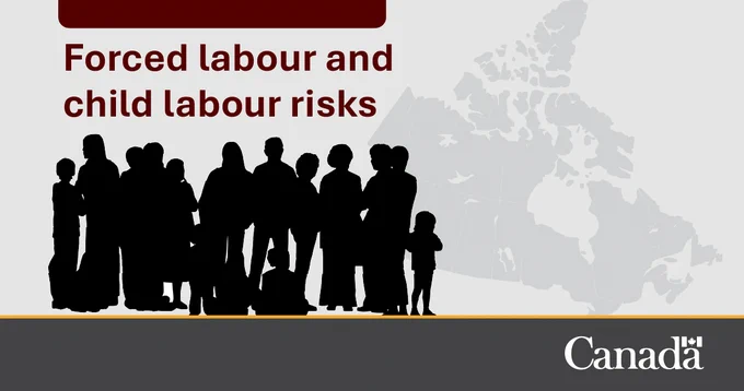 A silhouette of a group of people with a map of Canada in the background. Text: Forced labour and child labour risks.