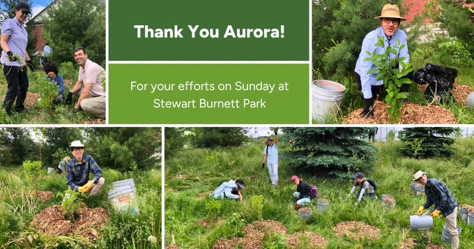 photo collage of participants posing at a LEAF stewardship event