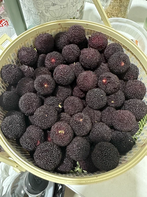 新鲜杨梅