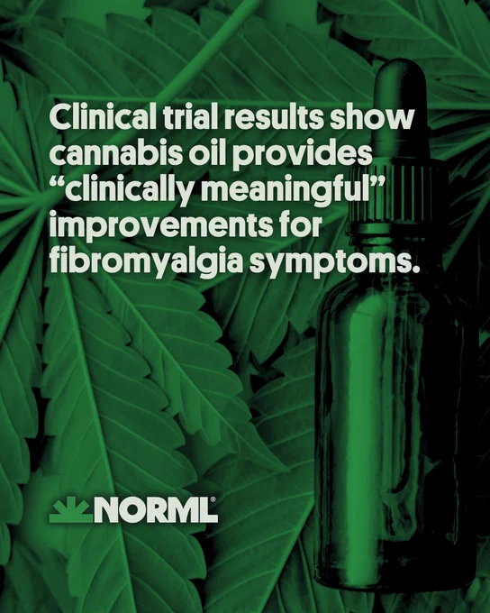 Headline reads, "Clinical trial results show cannabis oil provides 'clinically meaningful' improvements for fibromyalgia symptoms." A bottle of cannabis oil sits among cannabis leaves.