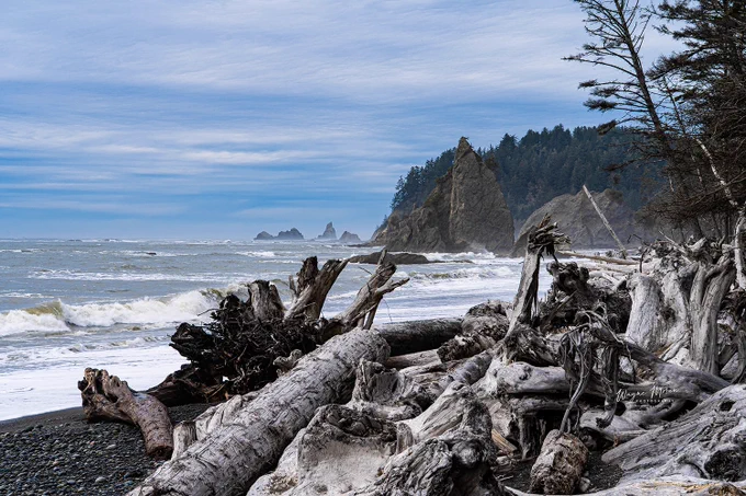 Show me your most surreal beach!

Mine: Rialto Beach, Olympic National Park.

#OlympicNationalPark #PNW #LandscapePhotography