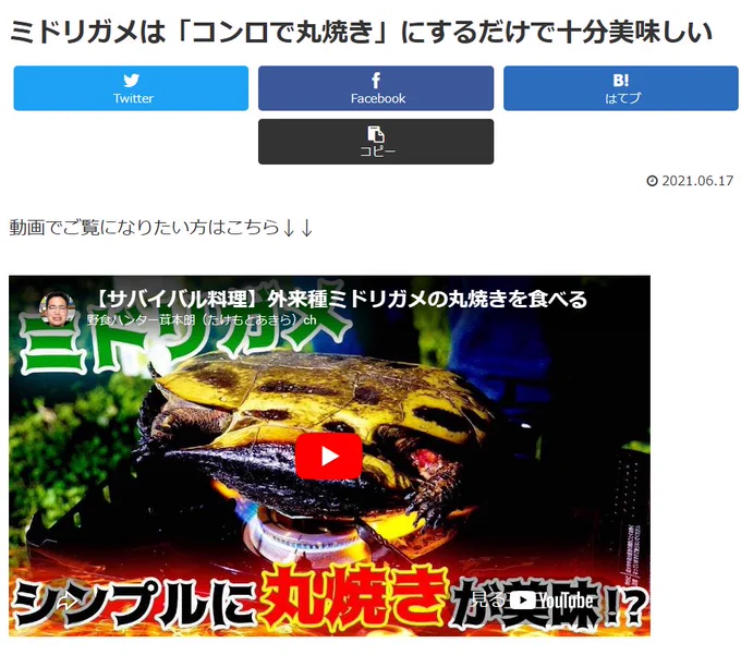 実は丸焼きっていうのは簡単なだけじゃなく、ミドリガメという動物を美味しく食べる上で、すごく理にかなった料理なんですよ。


やり方はすごく簡単。

締めたカメを

コンロの火にかけて、中弱火で1時間くらい焼く！　これだけ。

動画プレーヤー

00:00
00:05



焚き火ができるところなら、火の中にそのまま放り込んでもいいです。

甲羅が焦げたらOK。ペンチでペリペリ剝いでいただきましょう。

いただきま～す
……(≧～≦)ｳﾏｲ！！　塩つけるだけで十分美味しいです。
丸焦げなのは甲羅だけで、中身はいい感じに火が入っています。

また、特筆すべきは焼き上がり。新鮮なのもありますが、ぷりぷりしてとてもジューシーで、ジビエ肉と聞いて連想される「パサパサ感」は一切ありません。
これはカメが「甲羅に包まれている」から。丸ごと焼くことでいい感じの蒸し焼きになってくれるんですね。


また、丸焼きにすることで、手足以外の美味しい部位も食べることができます。
まずは背筋。

カメは尾と頭部を素早く動かすため、速筋の発達した背筋を持っています。これがささみのような味で美味しい。

それから首周り。いわゆるせせり肉ですね。ゼラチン質が豊富でぷりぷりしてます。

手足は真っ赤な筋肉（遅筋）でできていて味が濃いです。まるで地鶏のよう。

内臓も、卵巣が食べられます。鶏で言うキンカンですね。
鶏卵よりもコクが強く、濃厚で塩を付けなくても美味しいです。ついつい貪り食べてしまうな。。
味：★★★★☆　
入手難易度：★☆☆☆☆


やっぱりミドリガメ美味いですよ。スッポンやカミツキガメと比べると若干旨味は弱いように思いますが、それでも今どきの水っぽい鶏肉よりは遥かに味があって良いですね。
丸焼きはちょっと野性的すぎて……と思う方はやっぱり、手はかかりますが解体して鍋などにするのがオススメ。


最後に一応伝えておくと、ミドリガメの繁殖力の強さを考えれば、ランダムに捕まえた個体がかつて飼育されていたものである可能性は低いと思います。ペットを食べるなんて……という心配は杞憂でしょう。
そんなことより、我々日本人がミドリガメを使って滅ぼしてきた貴重な在来生物たちに思いを馳せるhttps://www.outdoorfoodgathering.jp/meat/midorigamemaruyaki/