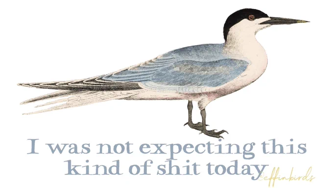 A painting of a bird next to the words "I was not expecting this kind of shit today"