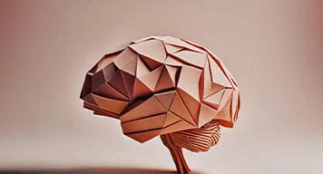 Geometric design in shape of a brain