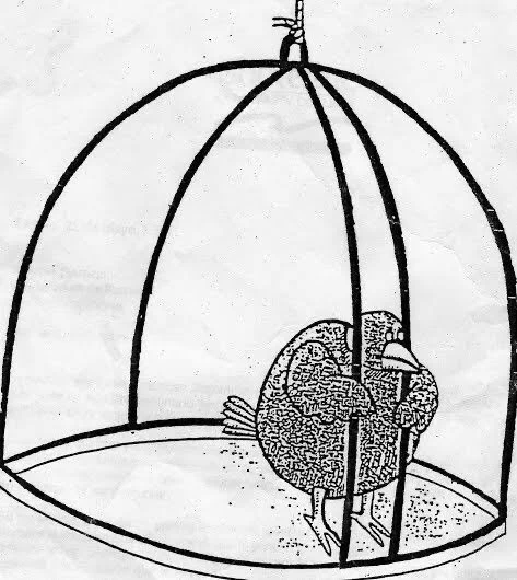 Bird in an open cage