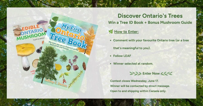 Toronto trees and edible mushroom guidebook front covers, alongside information to enter the giveaway draw