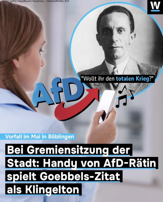 Vorfall im Mai in Böblingen
Bei Gremiensitzung der Stadt: Handy von AfD-Rätin spielt Goebbels-Zitat als Klingelton