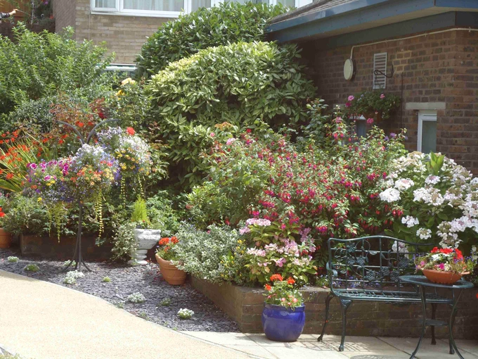 Colourful display of plants, flowers and pot plants