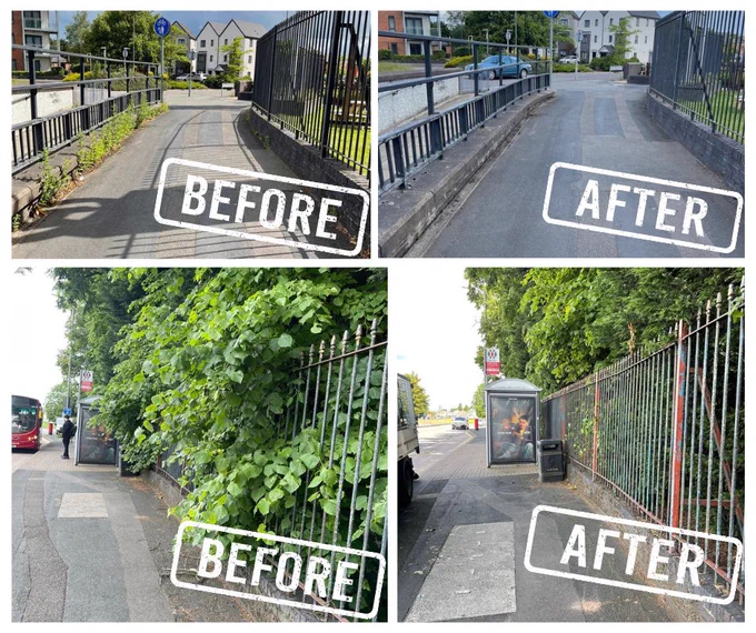Before and after images of a walkway and bus stop, showing vegetation clearance.