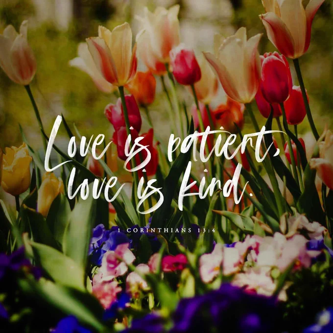 Bible Verse Of The Day:
“Love is patient, love is kind.” - ‭‭1 Corinthians‬ ‭13‬:‭4‬

@youversion

#verseoftheday #bibleverses #reflections