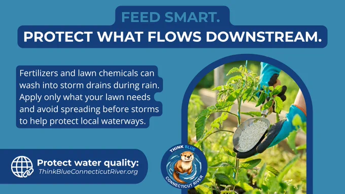 Graphic showing fertilizer being applied to plants with the message “FEED SMART. PROTECT WHAT FLOWS DOWNSTREAM.” It explains that fertilizers can wash into storm drains during rain and encourages responsible application to protect local waterways. The Think Blue Connecticut River logo and website are included.