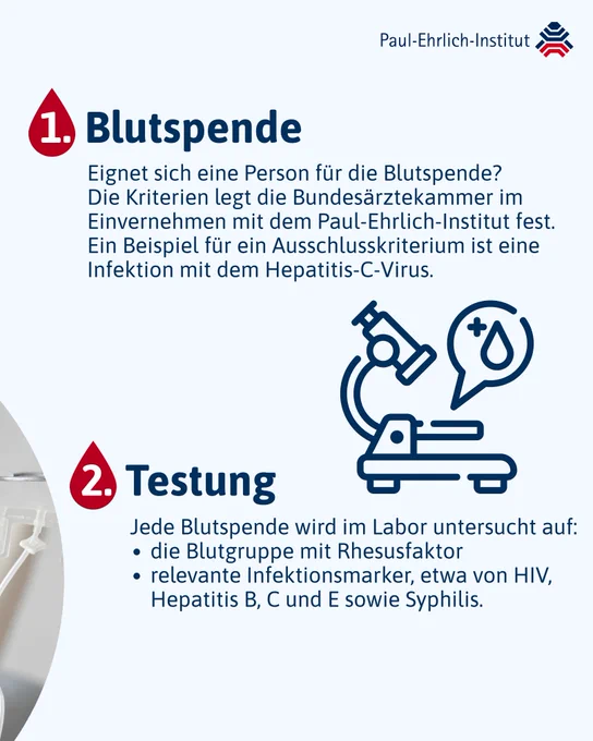 1.	Blutspende:  Eignet sich eine Person für die Blutspende? 
Die Kriterien legt die Bundesärztekammer im Einvernehmen mit dem Paul-Ehrlich-Institut fest. Ein Beispiel für ein Ausschlusskriterium ist eine Infektion mit dem Hepatitis-C-Virus.
2.	Testung: 
Jede Blutspende wird im Labor untersucht auf: die Blutgruppe mit Rhesusfaktor, relevante Infektionsmarker, etwa von HIV, Hepatitis B, C und E sowie Syphilis.