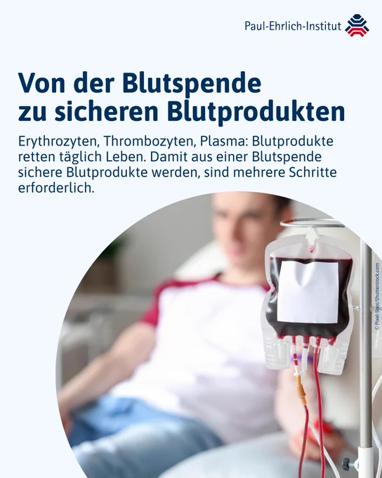 Von der Blutspende zu sicheren Blutprodukten.
Erythrozyten, Thrombozyten, Plasma: Blutprodukte retten täglich Leben. Damit aus einer Blutspende sichere Blutprodukte werden, sind mehrere Schritte erforderlich.